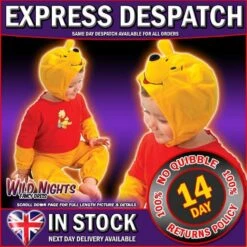 Classic Disney Winnie The Pooh Costume
