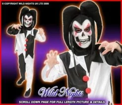 HALLOWEEN FANCY DRESS BOYS CRAZY JESTER
