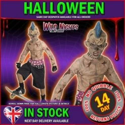 HALLOWEEN FANCY DRESS ~ BOYS ZOMBIE SKATE PUNK