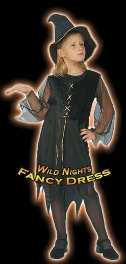 HALLOWEEN FANCY DRESS FUN GIRLS GYPSY WITCH SM AGE 3-5