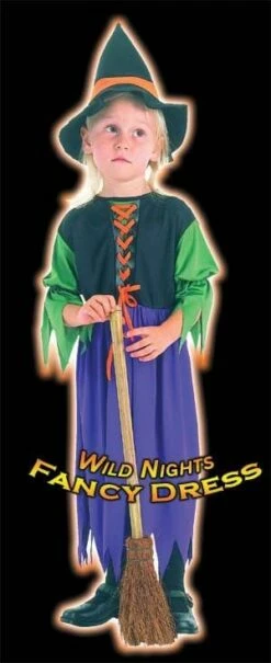 HALLOWEEN FANCY DRESS FUN STORYBOOK WITCH TODDLER 2-3