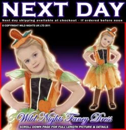 Smiffys Halloween Fancy Dress Girls Pumpkin Toddler Costume