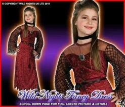 HALLOWEEN ~ GIRLS GOTHIC ENCHANTRESS COSTUME SM AGE 3-4